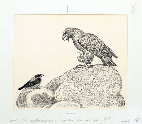 Кузнецов Леонид Трофимович. Макет из 27 иллюстраций и книга К.Д. Ушинского «Рассказы и сказки» (М.: Дет. лит., 1975)